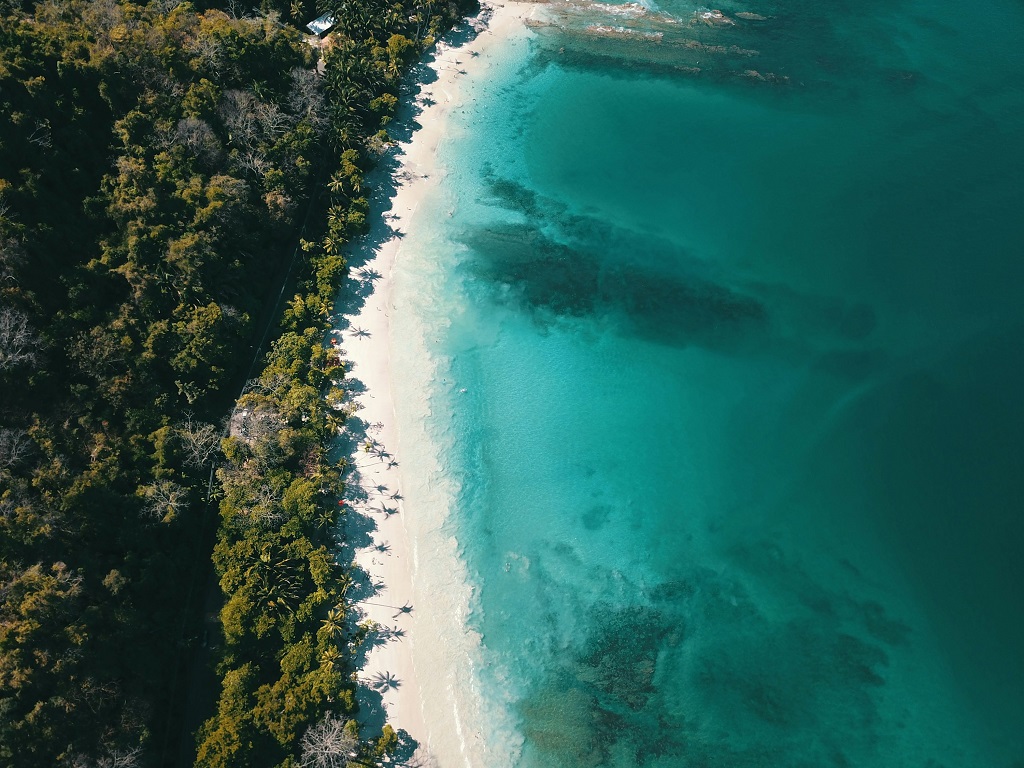 7 Stunning Beaches You Must Visit in Havelock Island, Andaman Nicobar